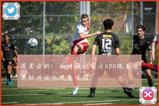 深度分析:如何通过官方app观看世界杯并优化观看流程
