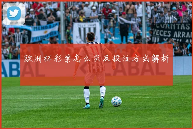 欧洲杯彩票怎么买及投注方式解析