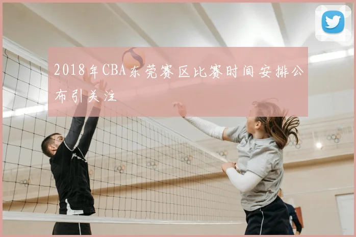 2018年CBA东莞赛区比赛时间安排公布引关注