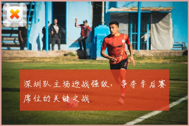 深圳队主场迎战强敌,争夺季后赛席位的关键之战