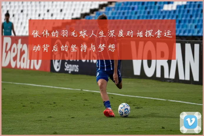 张伟的羽毛球人生深度对话探索运动背后的坚持与梦想