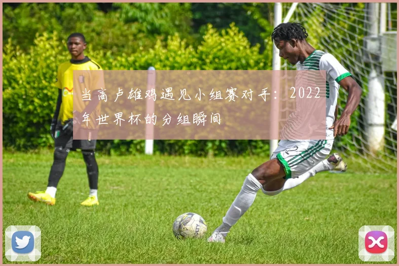 当高卢雄鸡遇见小组赛对手:2022年世界杯的分组瞬间