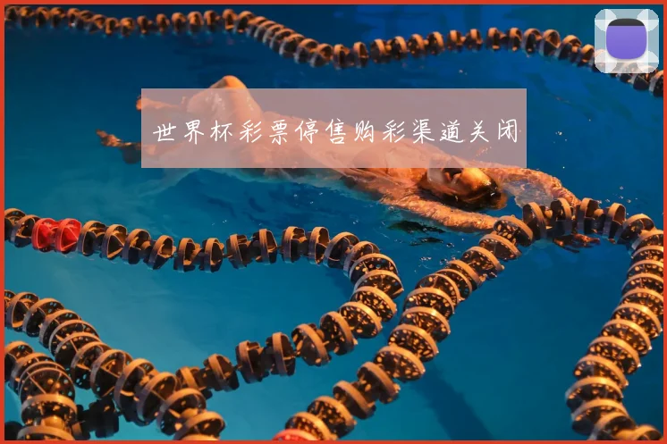 世界杯彩票停售购彩渠道关闭