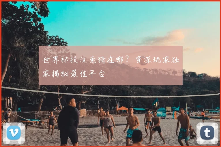 世界杯投注竞猜在哪?资深玩家独家揭秘最佳平台